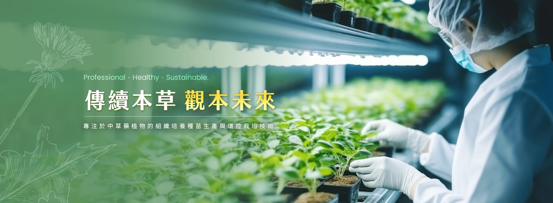 觀音本草生技 中藥原料供應與無毒中草藥種苗